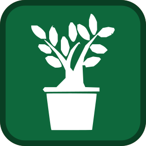 Plants et plantes