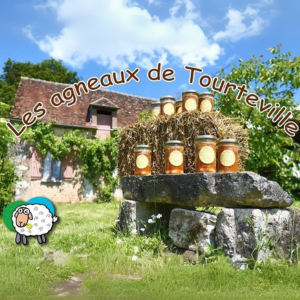 logo vendeur locale LES AGNEAUX DE TOURTEVILLE