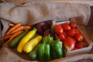 logo vendeur locale LE POTAGER DE LA BILLONNIÈRE